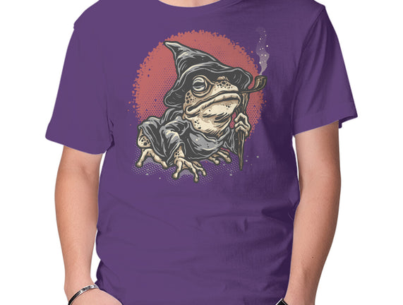 The Wizard Frog