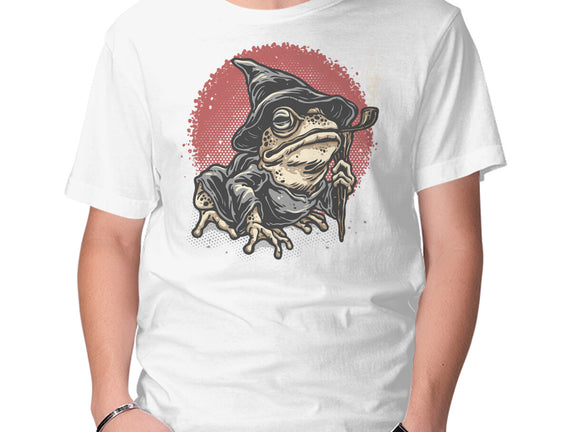 The Wizard Frog