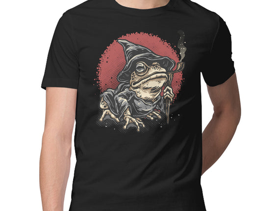 The Wizard Frog