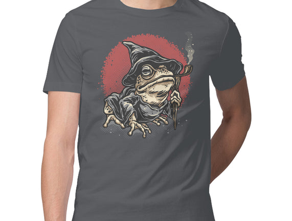 The Wizard Frog