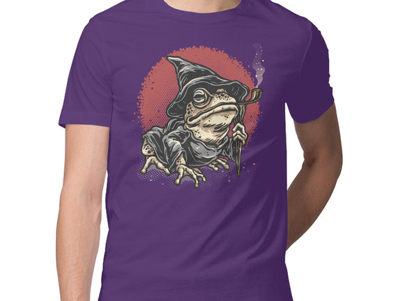 The Wizard Frog