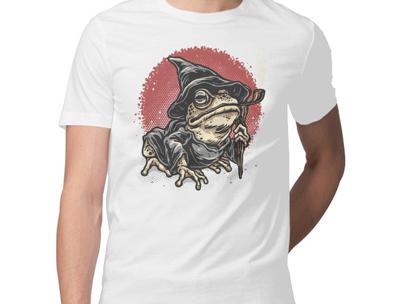 The Wizard Frog