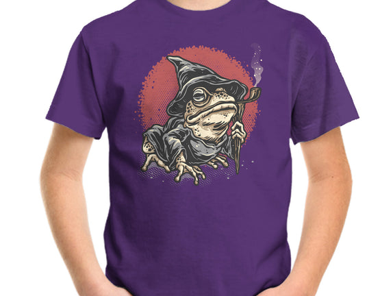 The Wizard Frog