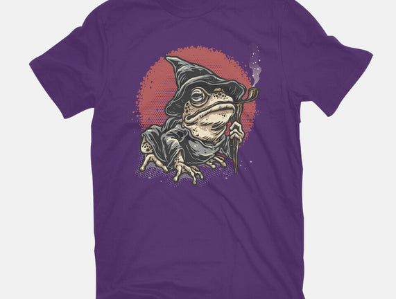 The Wizard Frog