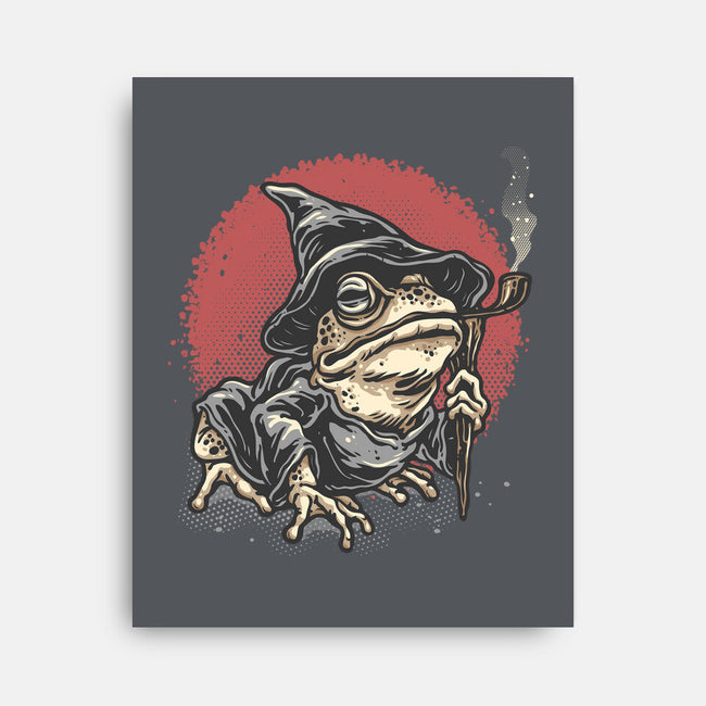 The Wizard Frog-None-Stretched-Canvas-glitchygorilla