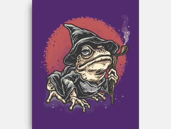 The Wizard Frog