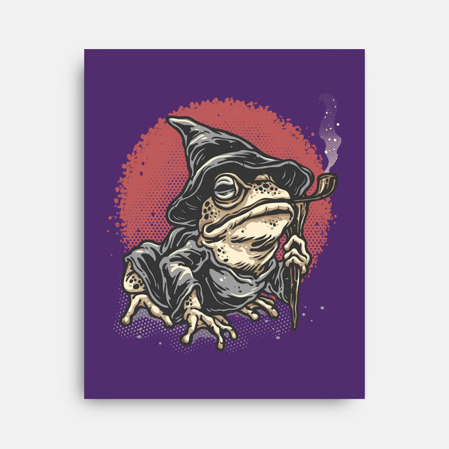 The Wizard Frog-None-Stretched-Canvas-glitchygorilla