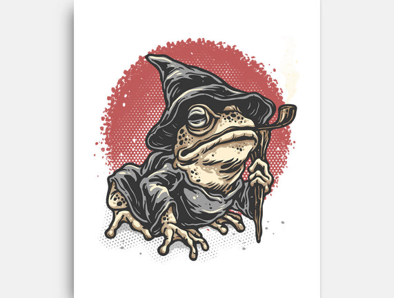 The Wizard Frog