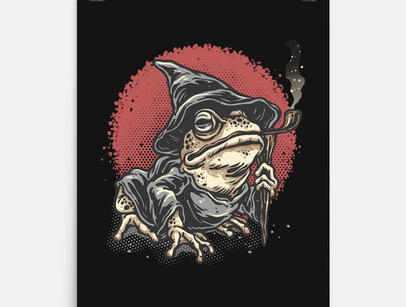 The Wizard Frog