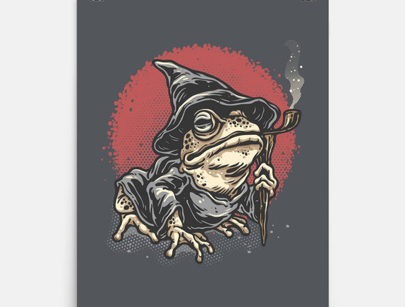 The Wizard Frog
