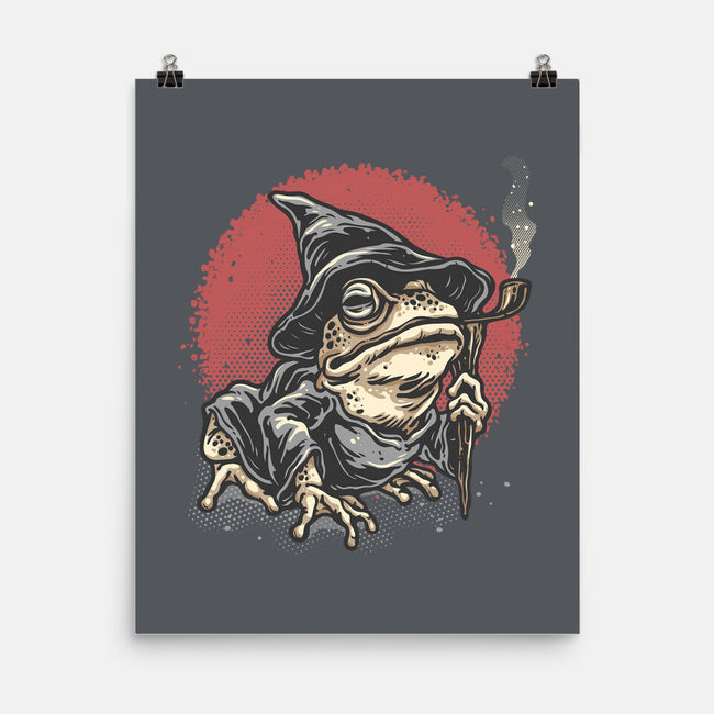 The Wizard Frog-None-Matte-Poster-glitchygorilla