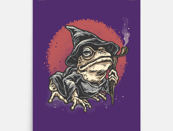 The Wizard Frog