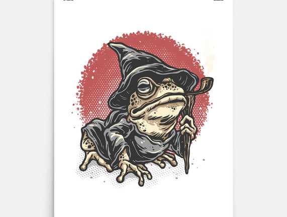 The Wizard Frog