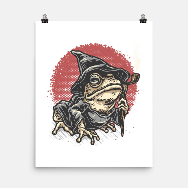 The Wizard Frog-None-Matte-Poster-glitchygorilla