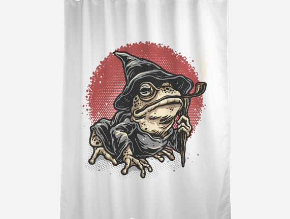 The Wizard Frog