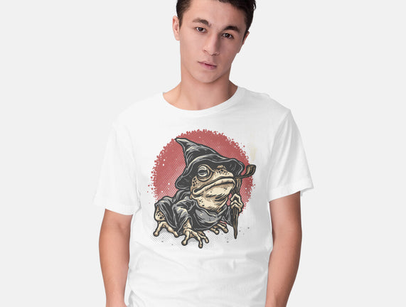 The Wizard Frog