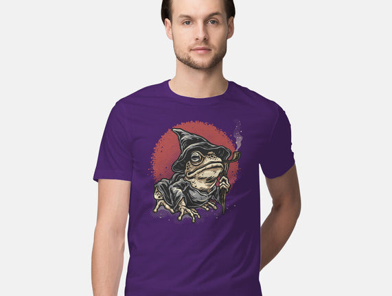 The Wizard Frog