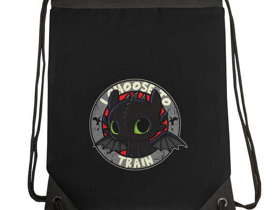 I Choose To Train