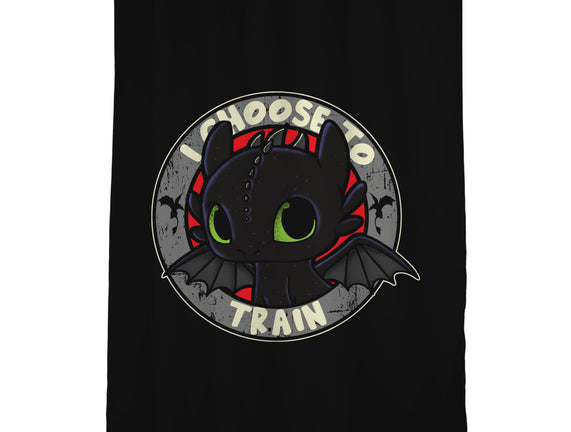 I Choose To Train