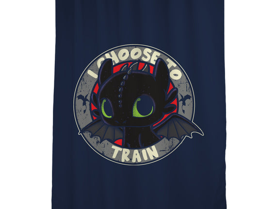 I Choose To Train
