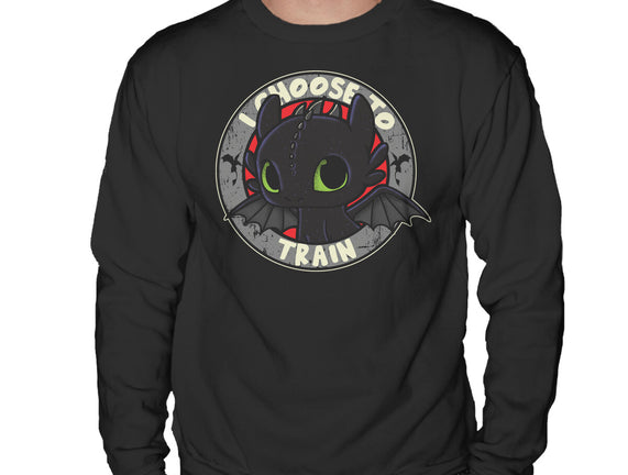 I Choose To Train