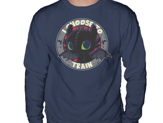 I Choose To Train