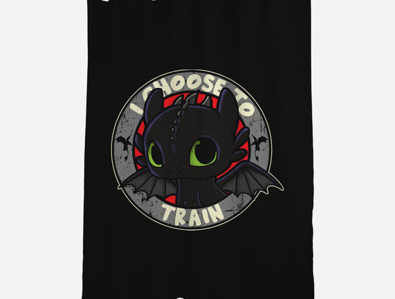 I Choose To Train