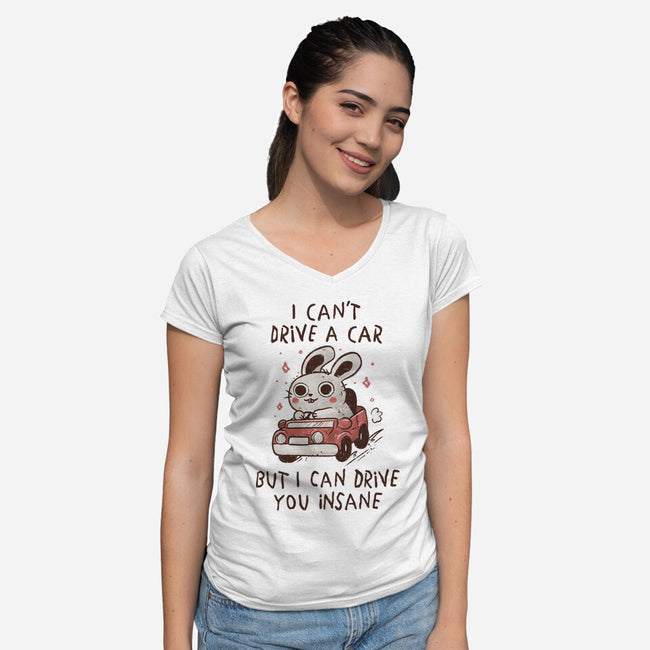 I Can Drive You Insane-Womens-V-Neck-Tee-koalastudio