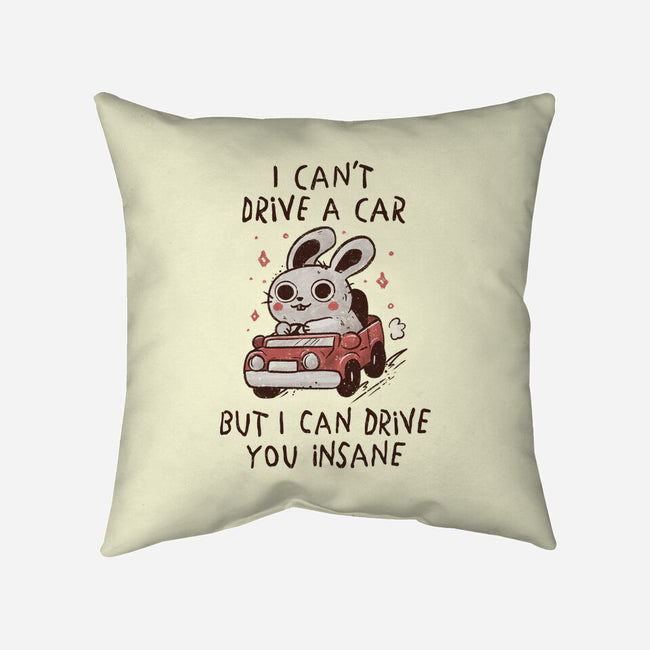 I Can Drive You Insane-None-Removable Cover w Insert-Throw Pillow-koalastudio