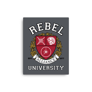 Rebel Alliance University