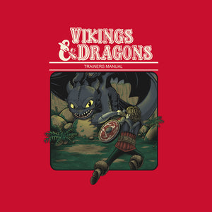 Vikings And Dragons