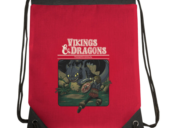 Vikings And Dragons