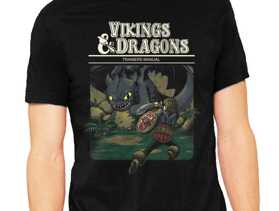 Vikings And Dragons