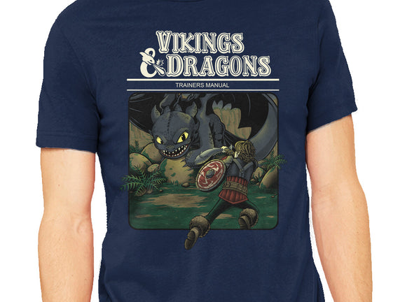 Vikings And Dragons