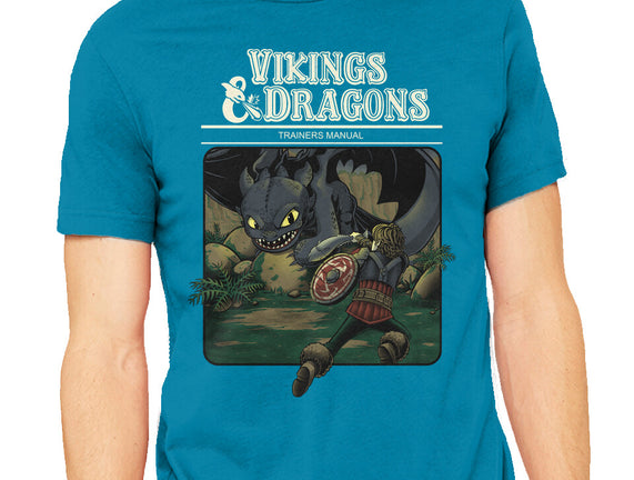 Vikings And Dragons