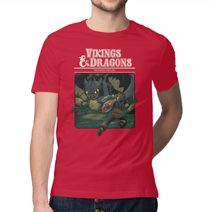 Vikings And Dragons