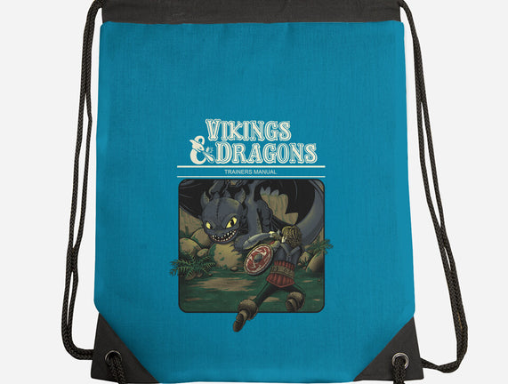 Vikings And Dragons