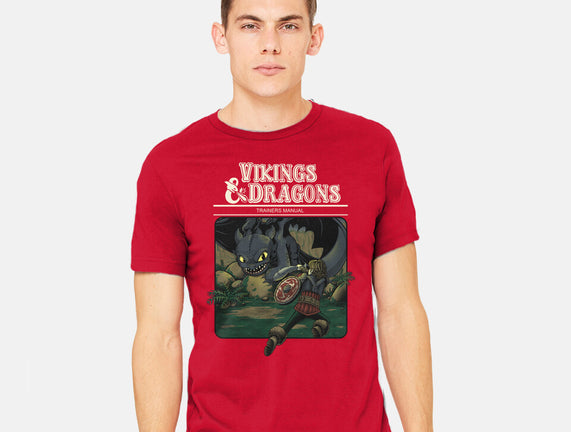 Vikings And Dragons