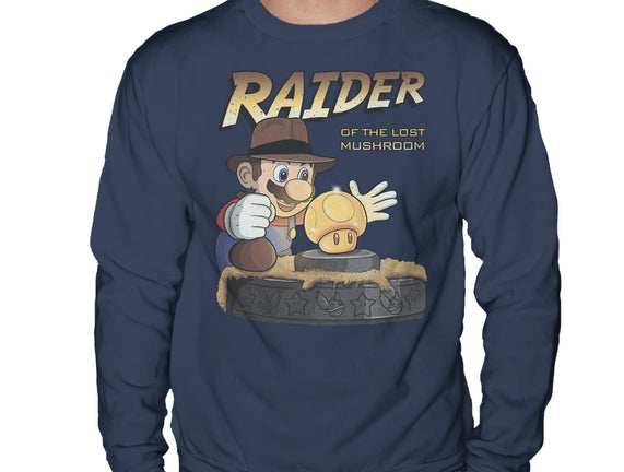 Raider Of The Lost Mushroom