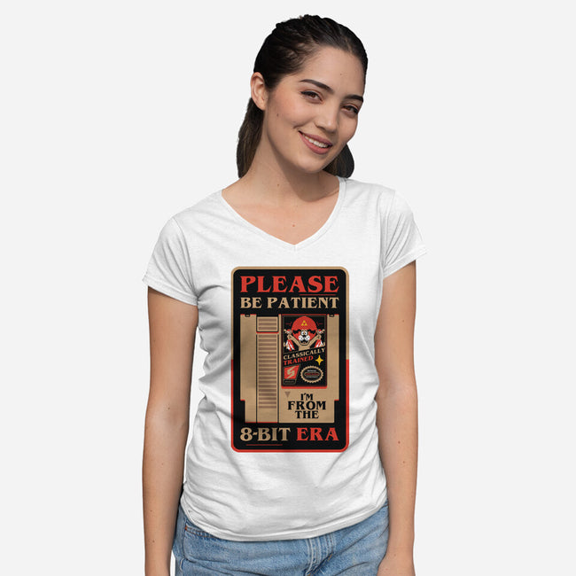 Please Be Patient-Womens-V-Neck-Tee-BadBox