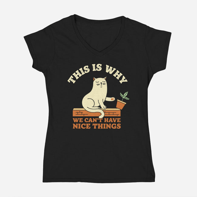 This Is Why We Can't Have Nice Things-Womens-V-Neck-Tee-brunopires