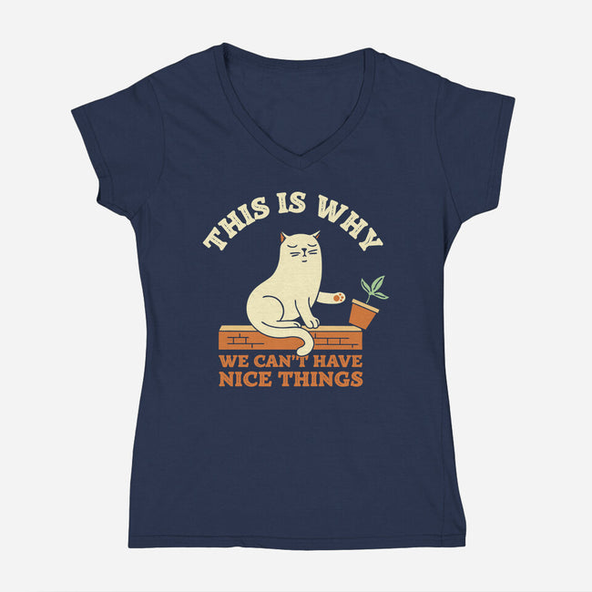 This Is Why We Can't Have Nice Things-Womens-V-Neck-Tee-brunopires
