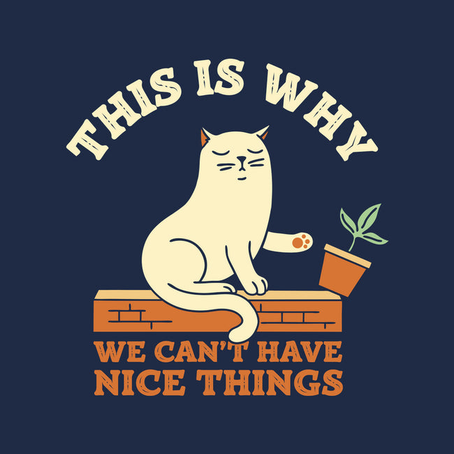 This Is Why We Can't Have Nice Things-Womens-Fitted-Tee-brunopires