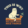 This Is Why We Can't Have Nice Things-Womens-Fitted-Tee-brunopires