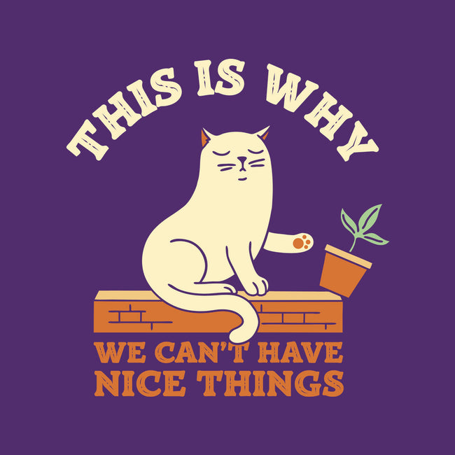 This Is Why We Can't Have Nice Things-Womens-Fitted-Tee-brunopires