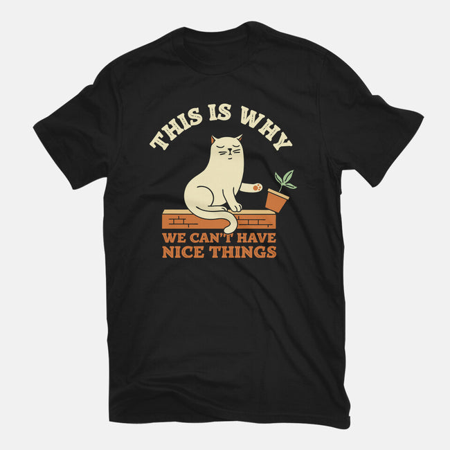 This Is Why We Can't Have Nice Things-Womens-Fitted-Tee-brunopires