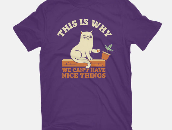 This Is Why We Can't Have Nice Things