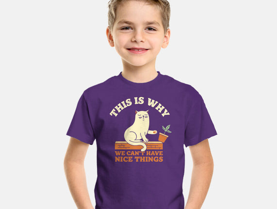 This Is Why We Can't Have Nice Things