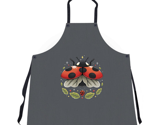 Ladybug Magic