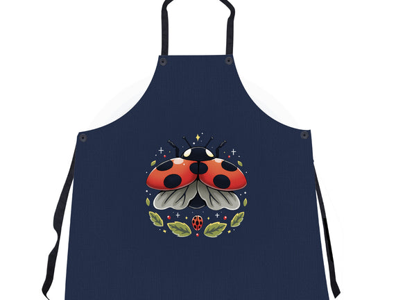 Ladybug Magic
